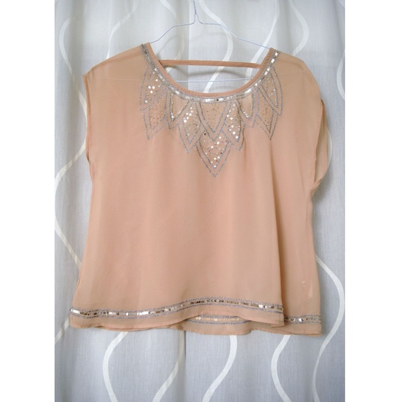 DECREE Light Pink Chiffon Sheer Sequins Rose Top | Size S - Picture 1 of 4